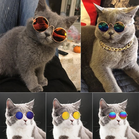 Feline Fun Shades