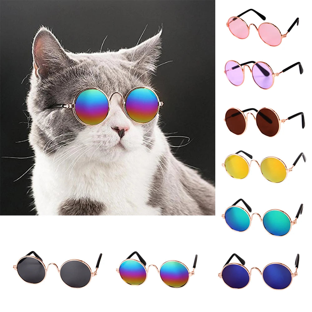 Feline Fun Shades