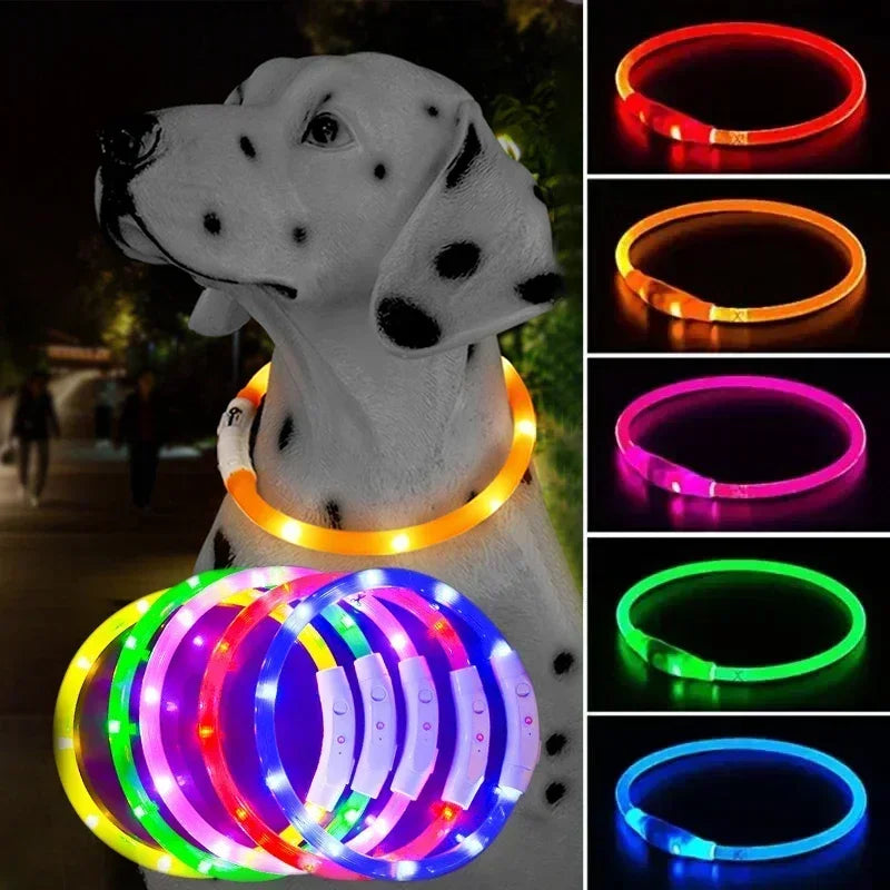 GlowGuard Pup Collar