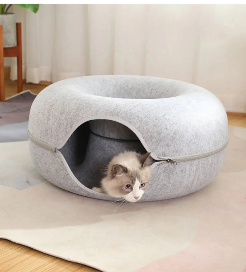 Cat Tunnel Cave