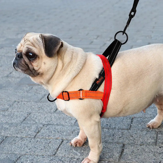 Reflective Nylon Dog Harness