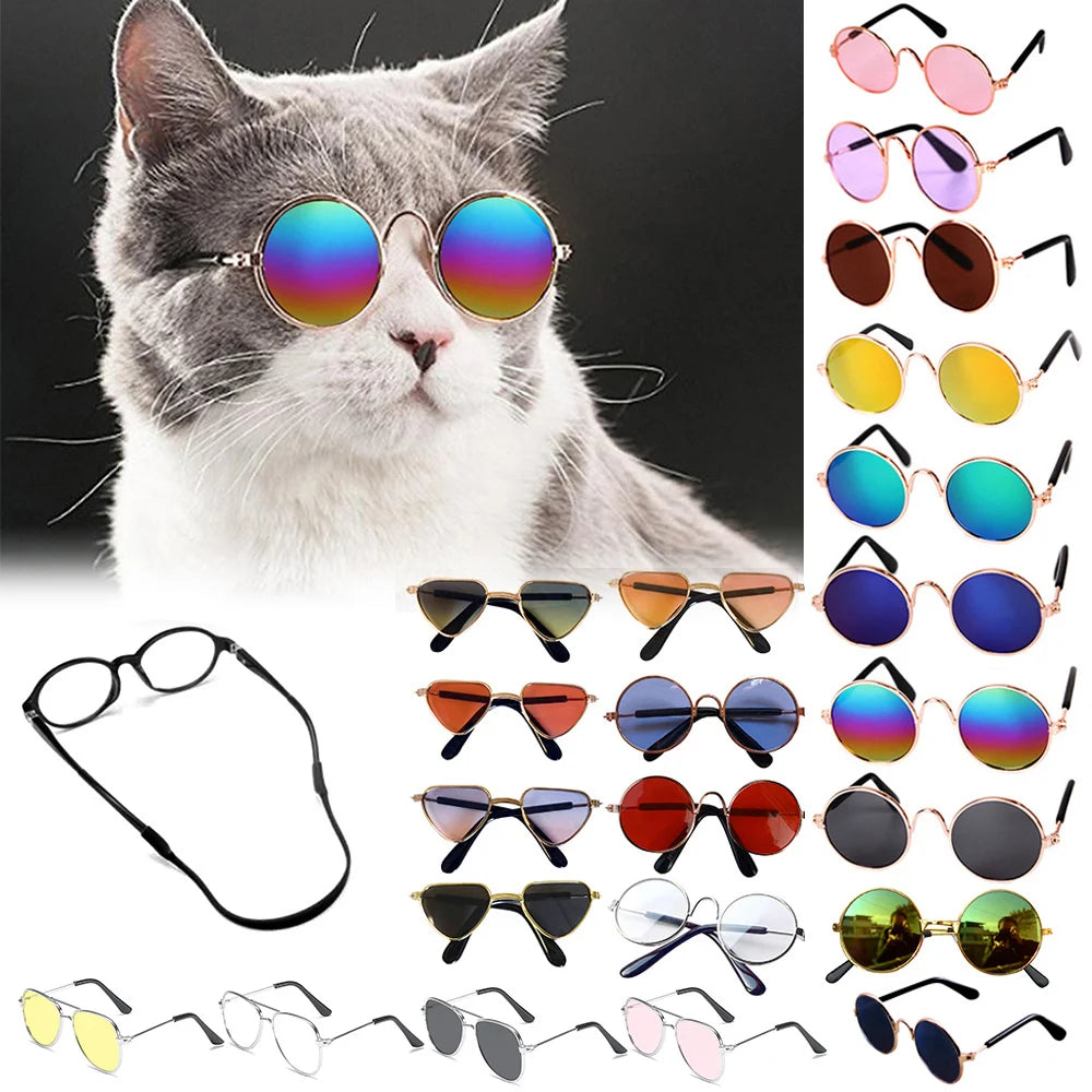 Feline Fun Shades