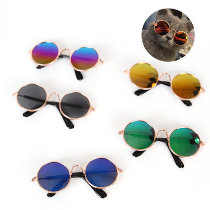 Feline Fun Shades